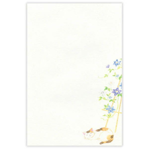 Miniature 5
