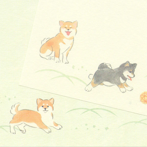 Miniature 5