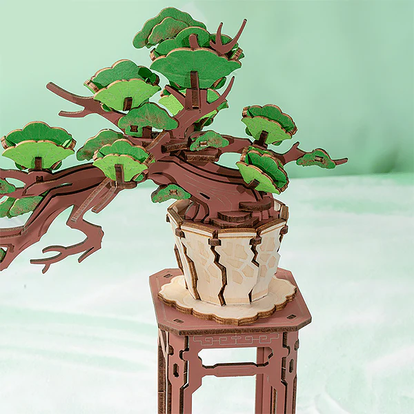Miniature 5
