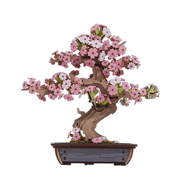 Sakura Blossom