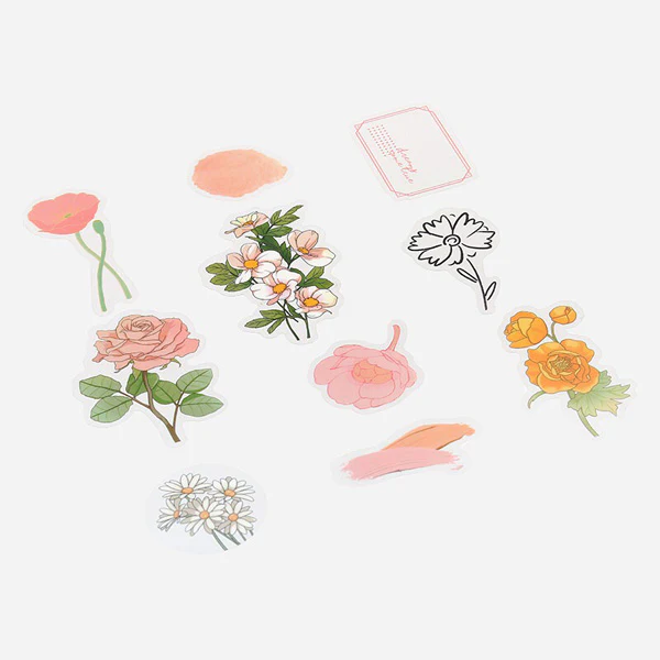 Miniature 5